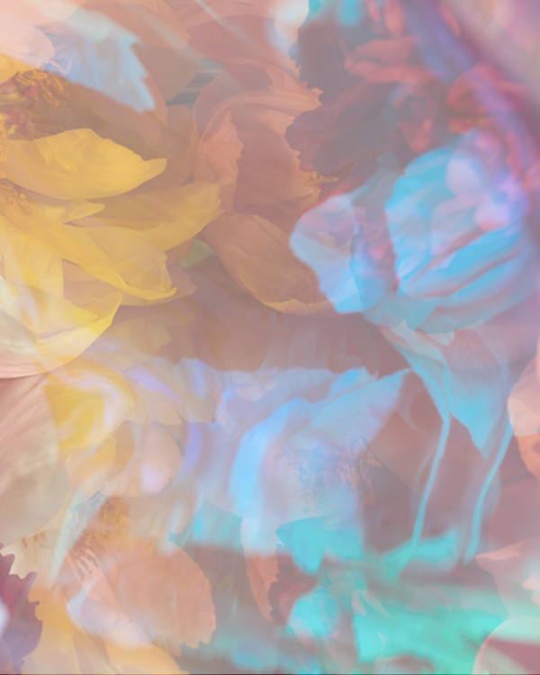 Ключевые цвета