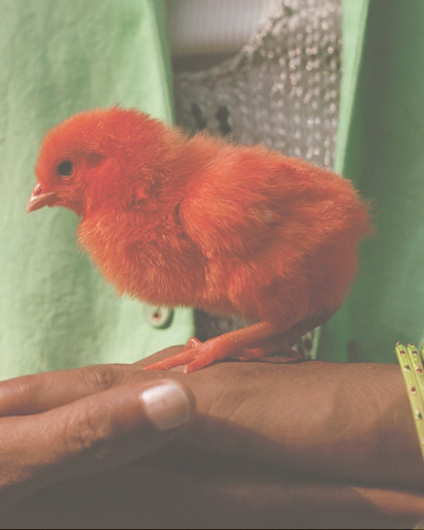 Выбор материалов и фурнитуры